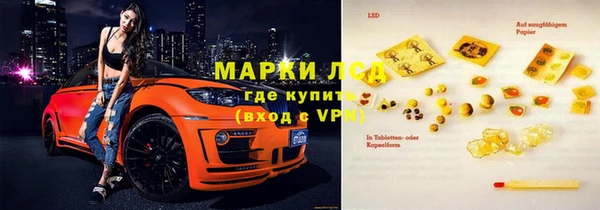 индика Абаза