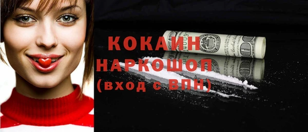 индика Абаза