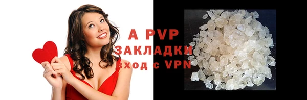 стаф Абинск