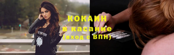 стаф Абинск