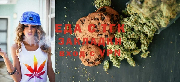 индика Абаза