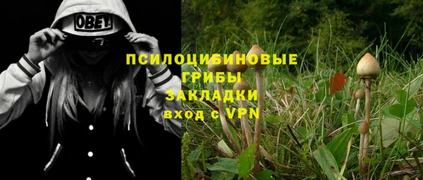 не бодяженный Алзамай