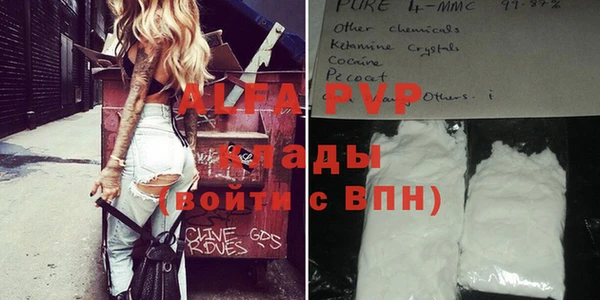 индика Абаза