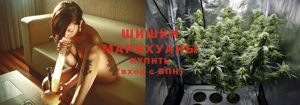 индика Абаза
