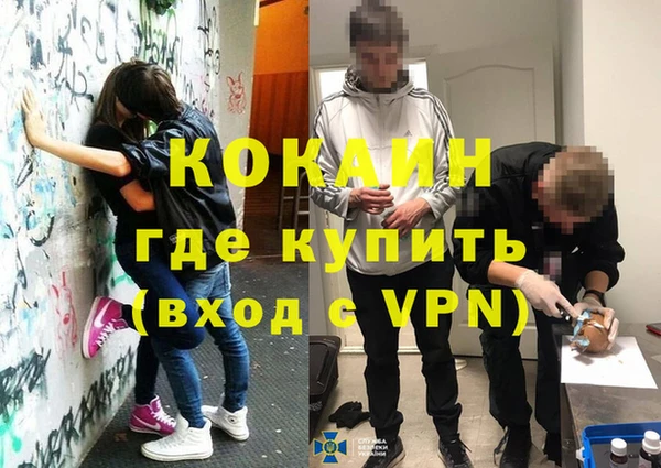 индика Абаза