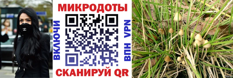 Псилоцибиновые грибы MAGIC MUSHROOMS  Галич 